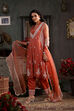 Burnt Orange Embroidered Organza Kalidar Suit Set image number 3