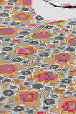 Beige Rayon Printed Kaftan image number 1