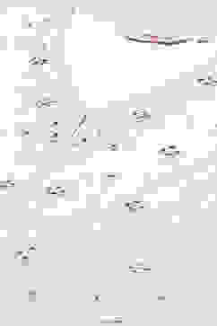 Off White Cotton Anarkali Lehenga Set image number 1