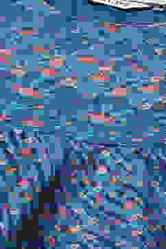 Indigo Cotton Anarkali Kurta Churidar Suit Set image number 1