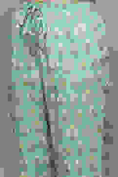 Mint Cotton Printed 2 Piece Sleepwear Set image number 2