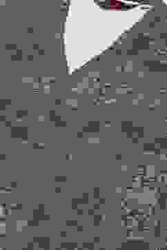 Olive Green Straight Printed Kurta image number 1