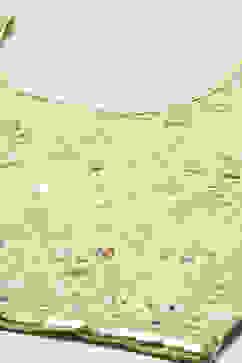 Green Nylon Embroidered Suit Set image number 1