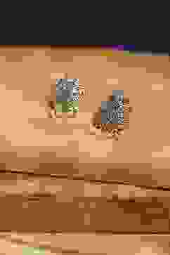 Green Brass Studs image number 0