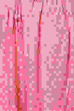 Pink LIVA Palazzo image number 1