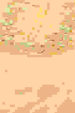 Yellow Organza Unstitched Suit set image number 2