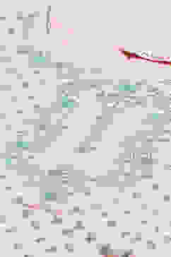 Peach Cotton Flared Fusion Dress image number 1