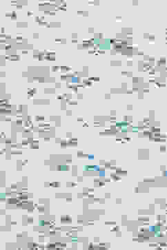 Cream Cotton A-Line Printed Kurta image number 1