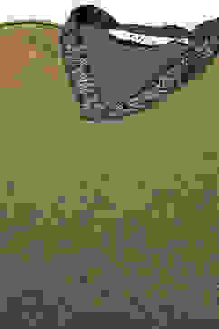 Teal Green Polyester Straight Yarndyed 2 Piece Set image number 1