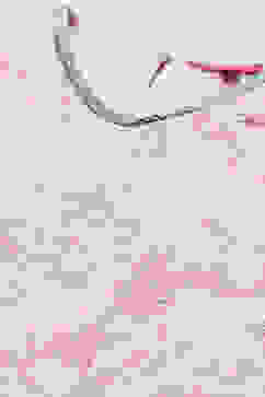 Pink Embroidered Georgette Peplum Sharara Suit Set image number 1