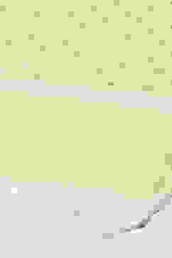 Mustard Polyester Straight Suit Set image number 3