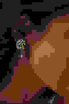 Oxid Gold Brass Studs image number 1