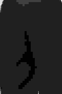 White Cotton Machine Embroidered Unstitched Suit Set image number 2