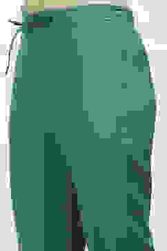 Green Cotton Solid Regular Pants image number 1