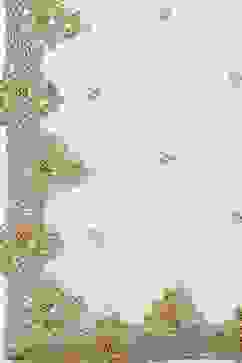 Moss Green Nylon Straight Suit set image number 3