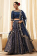 Blue Embroidered Festive Lehenga Set image number 6
