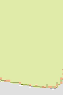 Yellow Organza Unstitched Suit set image number 4