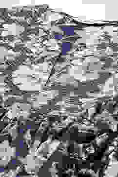 Navy Cotton Tiered Printed Dress image number 1