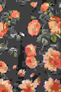 Rohit Bal Black Cotton Blend Saree image number 1