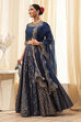 Blue Embroidered Festive Lehenga Set image number 3