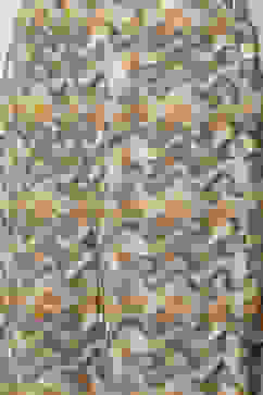 Mud Ochre LIVA A-Line Fusion Printed Kurta Set image number 2