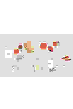 Spelle DEA Eau De Parfum 100 ml image number 5