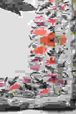 Rohit Bal Off White Cotton Silk Printed Saree image number 1