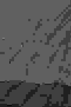 Rohit Bal Indigo Cotton Silk Straight Printed Suit Set image number 3