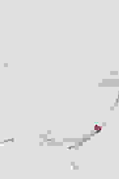 White Cotton Blend Yarndyed Dupatta image number 1