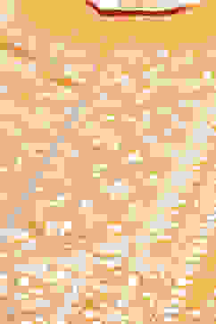 Orange Cotton Straight Kurta Palazzo Suit Set image number 1