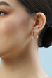 Crystal Brass Earrings image number 1