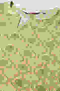 Green Rayon Straight Printed Kurta image number 1