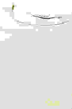 Off White Cotton Straight Printed Kurta Capri Suit Set image number 1