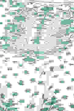 Green Cotton Flared Printed Kurta Dress image number 1