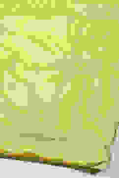 Lime Organza Unstitched Suit set image number 4