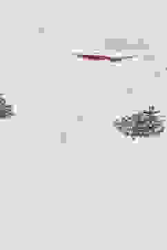 Off White Flared Cotton Kurta image number 1