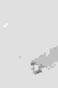 Off White Cotton Blend Dupatta image number 2