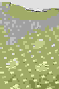 Sap Green Cotton Blend Straight Kurta Garara Suit Set image number 1