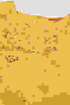 Yellow Poly Cotton A-Line Printed Kurta Dhoti Suit Set image number 1