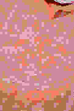 Light Coral Cotton Straight Kurta Pants Suit Set image number 5