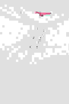 White and Blue Cotton Dobby Printed Suit Set image number 1