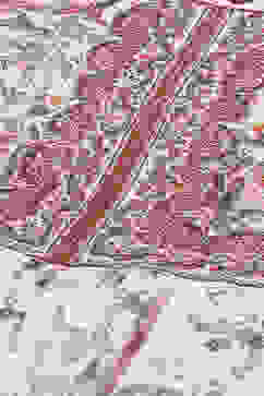 Beige Cotton Blend Anarkali Kurta Palazzo Suit Set image number 1