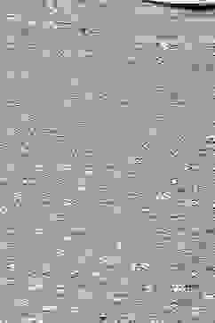 Moss Green Nylon Straight Suit set image number 1