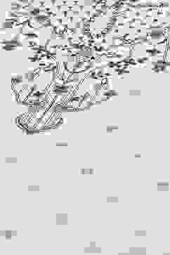 Off White Cotton A-Line Kurta Palazzo Suit Set image number 1