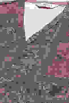 Oil Pink Straight Printed Kurta image number 3