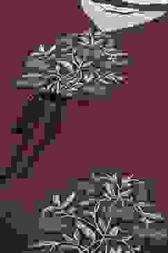 Maroon Cotton Printed Nightwear image number 1