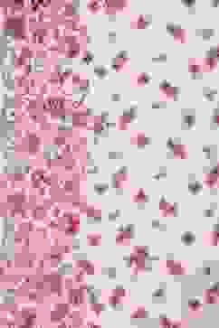 Peach Solid Cotton Kalidar Kurta Palazzo Suit Set image number 3