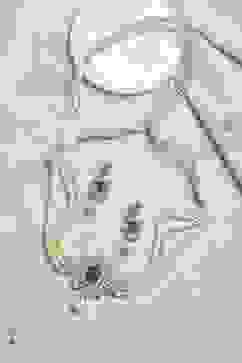 Green Alloy Necklace Set image number 0