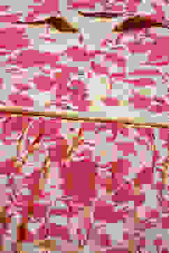 Beige Cotton Tiered Printed Dress image number 5