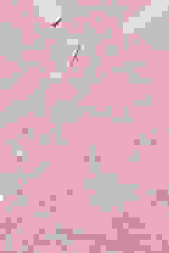 Pink Cotton Straight Printed Short Kurti image number 1